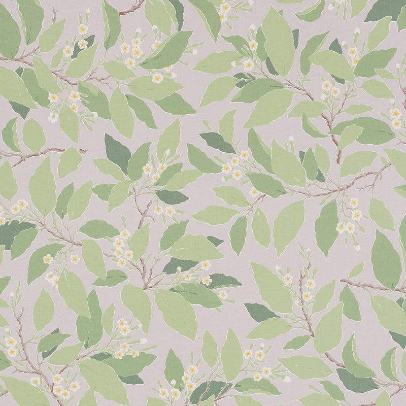 Purchase sample of 176521 Dogwood Leaf, Grisaille by Schumacher Fabric