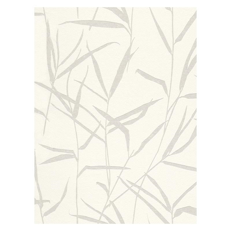 Sample 709971 BB Home Passion by Washington Wallcovering