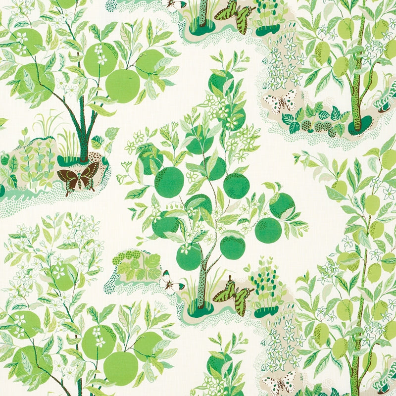 Purchase sample of 177332 Citrus Garden Indoor/Outdoor, Leaf by Schumacher Fabric