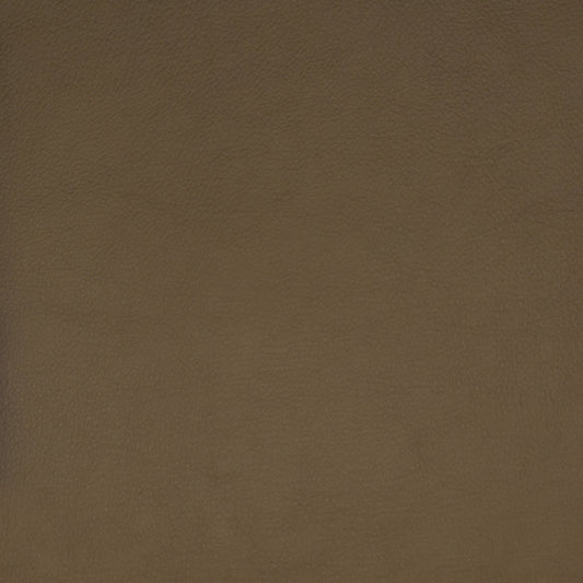 Save F1859 Beige Brown Texture Greenhouse Fabric