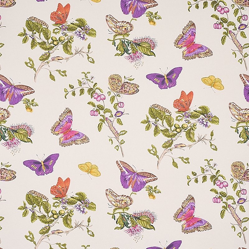 Looking for 5010692 Baudin Butterfly Purple Schumacher Wallcovering Wallpaper