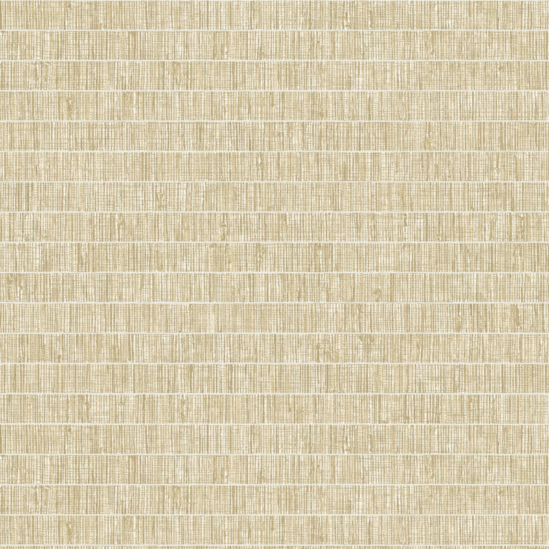 Sample TC70003 More Textures, Blue Grass Band Golden Wheat Seabrook Wallpaper
