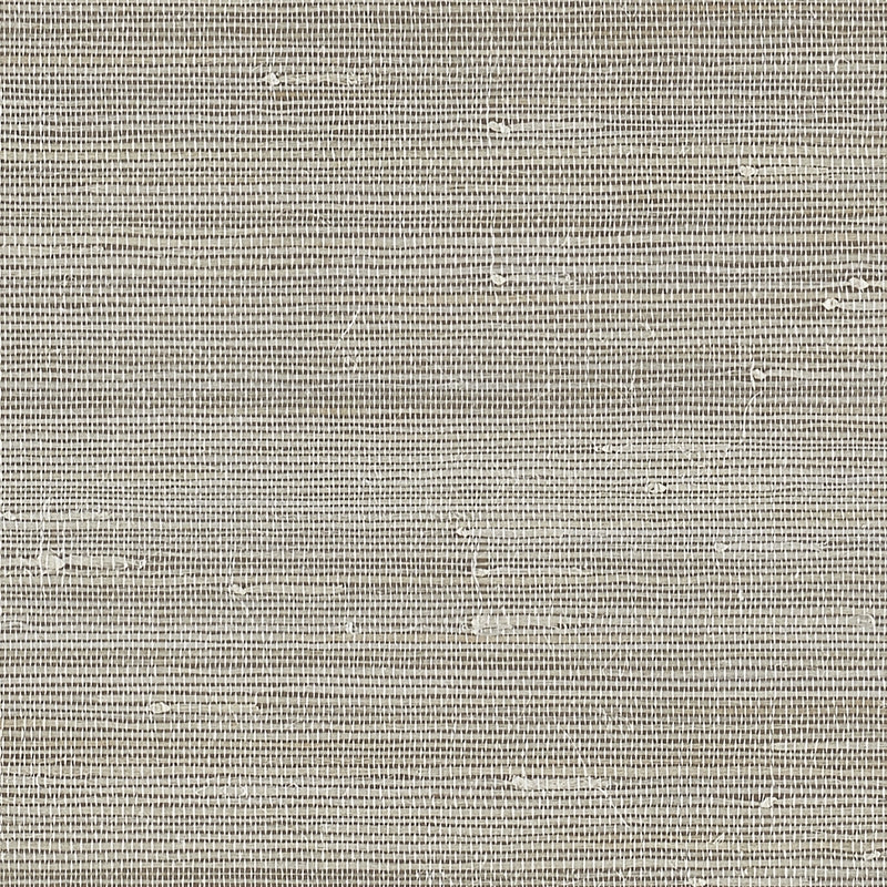 Purchase 8847 Jazzy Jute Tenor Taupe Phillip Jeffries Wallpaper