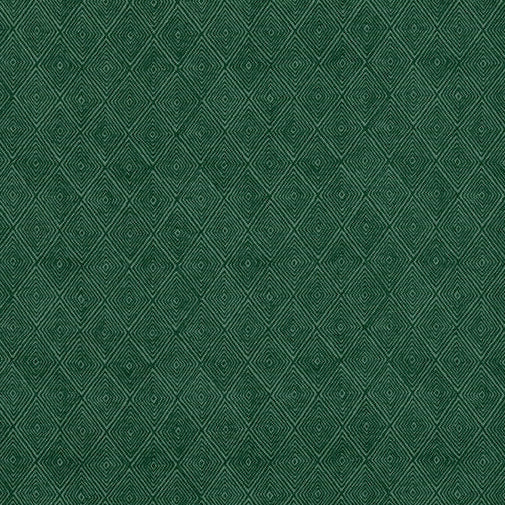 Search ED75042-5 Boundary Emerald by Threads Fabric