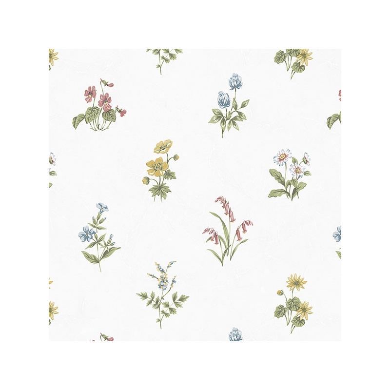 Sample KE29935 Creative Kitchens Garden Spot  Norwall Wallpaper