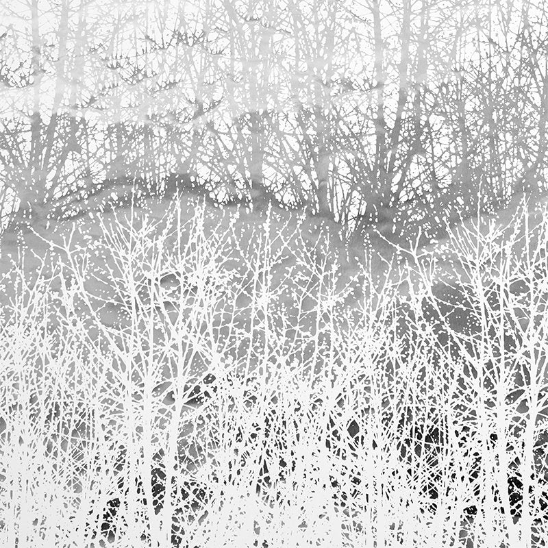 Buy 2707244 Birches Silver Schumacher Wallpaper