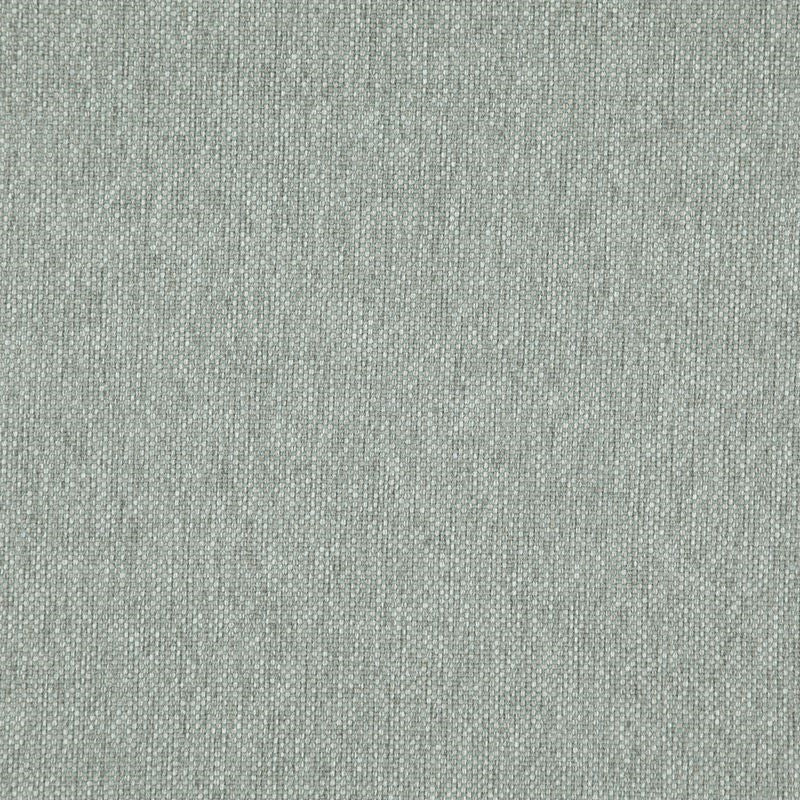 LO8222 | Light Year Botanical by Maxwell Fabric