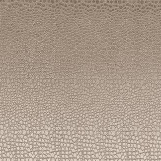 Buy F0469-2 Pulse Ash by Clarke and Clarke Fabric