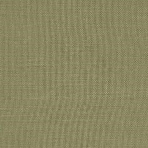 Purchase F0594-35 Nantucket Olive by Clarke and Clarke Fabric