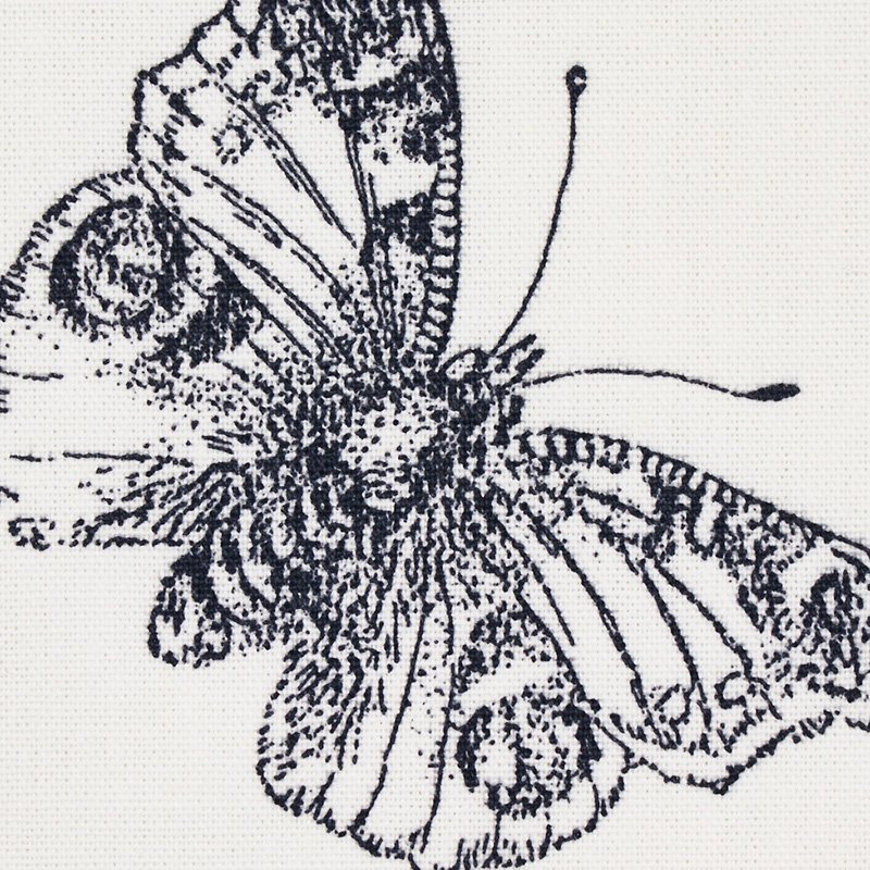 Buy 179430 Burnell Butterfly Black By Schumacher Fabric