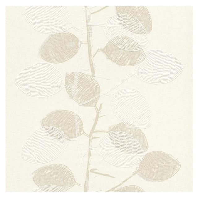 Looking WW-268460 Cosy White Tan Leaves by Washington Wallpaper