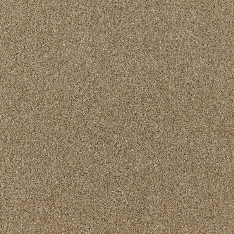 Purchase sample of 64887 San Carlo Mohair Velvet, Sage by Schumacher Fabric