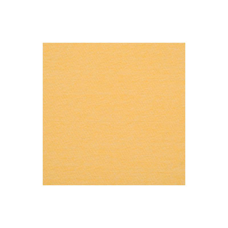 368555 | 65007Ld | 2-Butter - Robert Allen Fabric