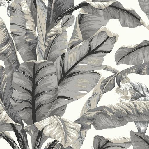 Acquire PSW1037RL Tropics Botanical Black Peel and Stick Wallpaper