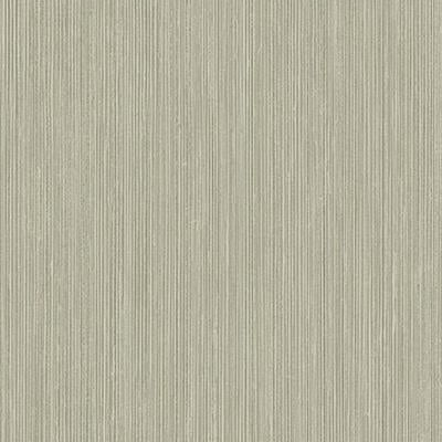 Looking 1430516 Texture Anthology Vol.1 Metallic Silver Stria by Seabrook Wallpaper