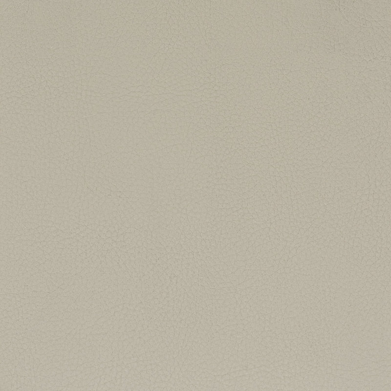 Sample Clas-9 Classic 9 Putty By Stout Fabric