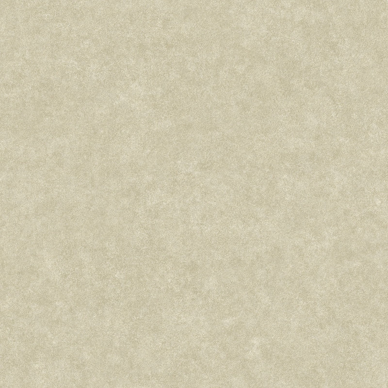Sample 2922-25361 Trilogy, Duchamp Champagne Metallic Texture by A-Street Prints Wallpaper