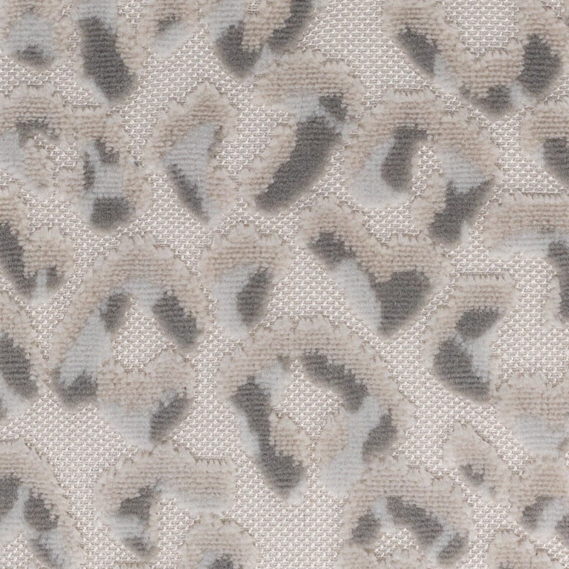 Sample Argu-1 Argus 1 Dove By Stout Fabric