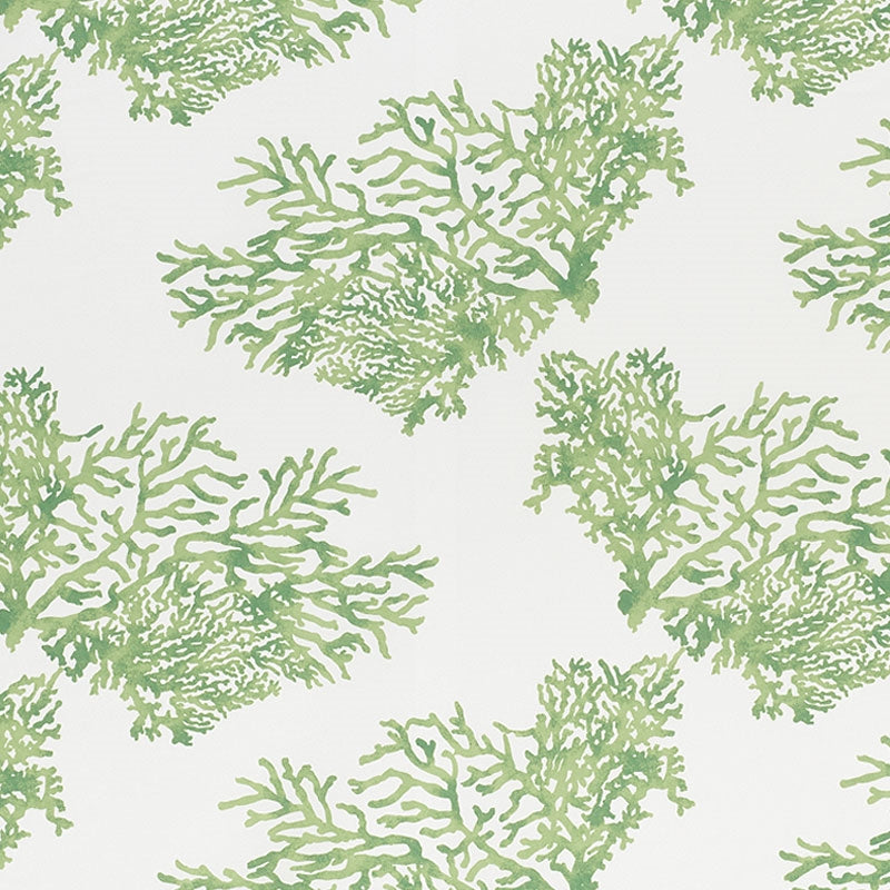 Save 178291 Great Barrier Reef Ii Green by Schumacher Fabric