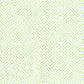 Sample 622-27 Java Petite, Lime on White by Quadrille Wallpaper