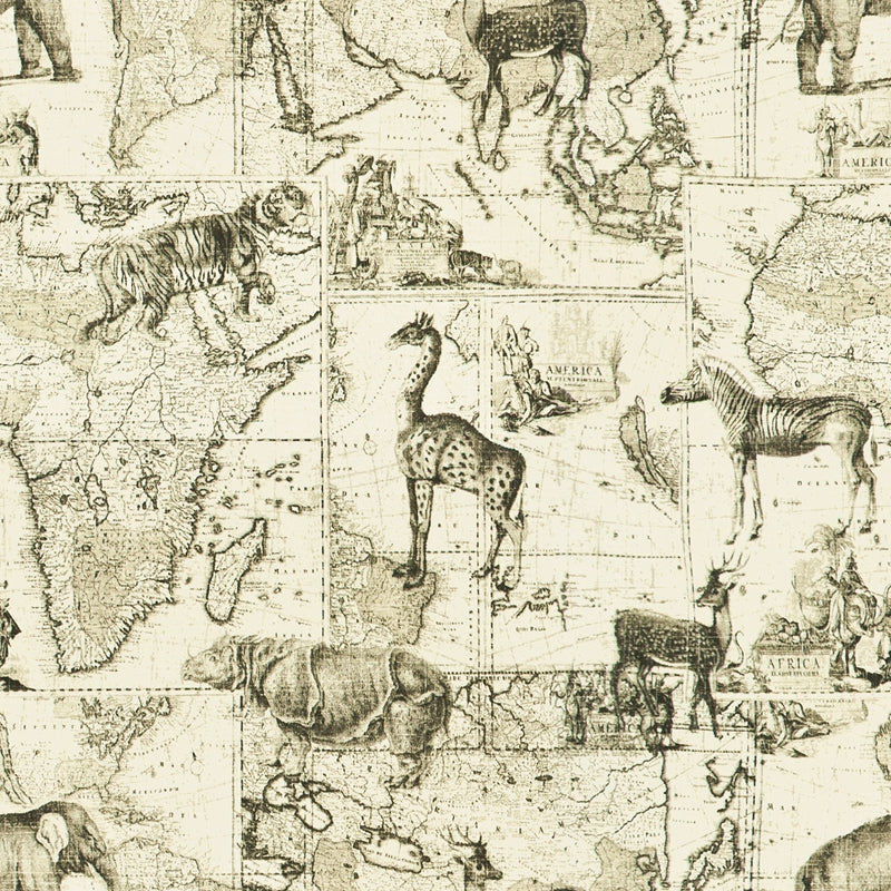 Sample ZIMB-2 Charcoal by Stout Fabric