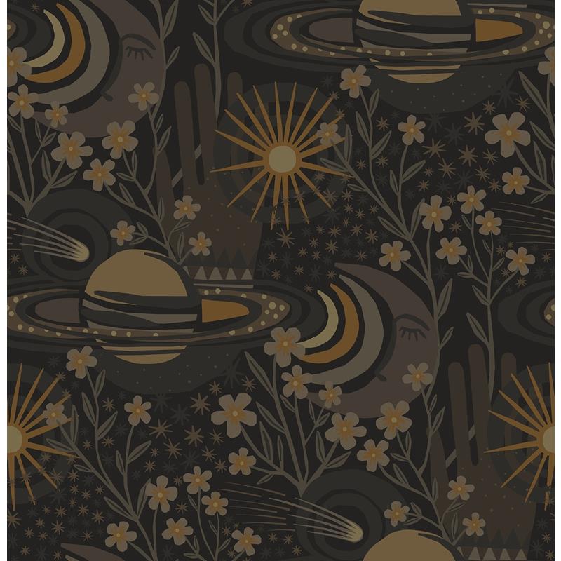 PLS4210 Pip &amp; Lo Black Ethereal Cosmos Peel &amp; Stick Wallpaper by NuWallpaper