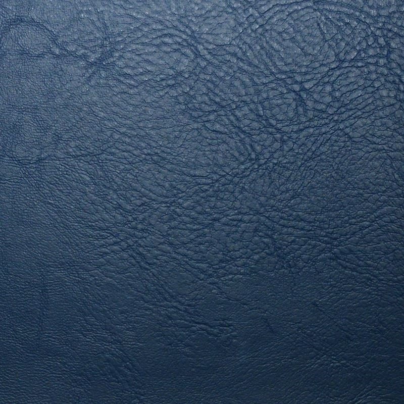 Sample V95103 Vintage (contract Vinyl) Lakeshore by Maxwell