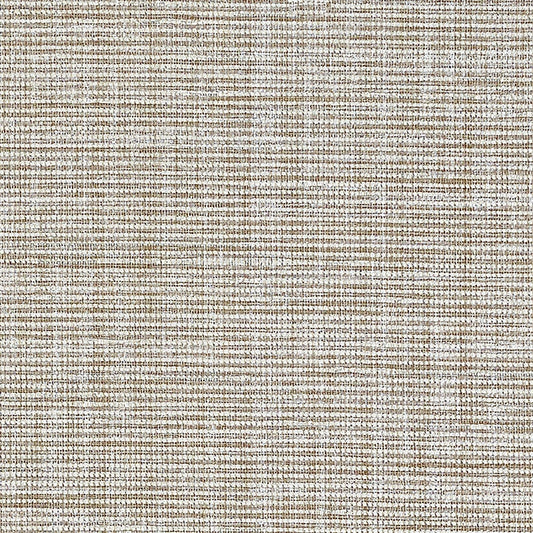 Shop 5007781 Anodized Raffia Warm Silver Schumacher Wallpaper
