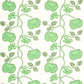 Acquire 179540 Queen Fruit Chintz Jade by Schumacher Fabric