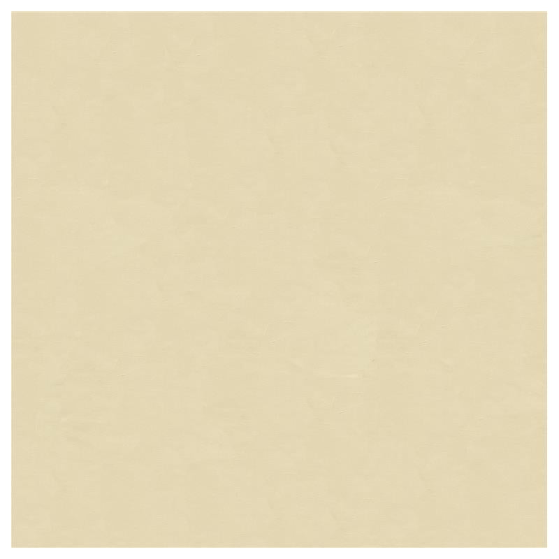 View 4070.1111.0  Solids/Plain Cloth Beige by Kravet Design Fabric