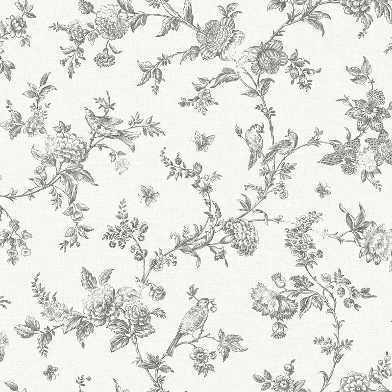 Sample 4072-70065 Delphine, Nightingale Charcoal Floral Trail Wallpaper by Chesapeake