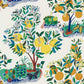 Find 177330 Citrus Garden Indoor/Outdoor Primary by Schumacher Fabric