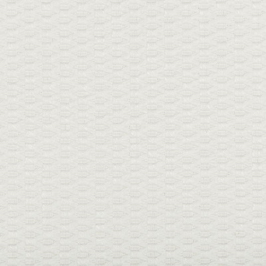 Search 35583.101.0  Small Scales White by Kravet Design Fabric