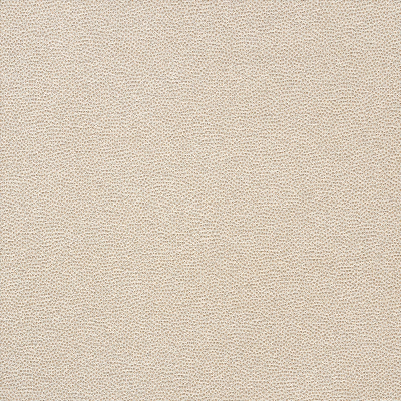 Purchase sample of 75200 Stingray, Champagne by Schumacher Fabric