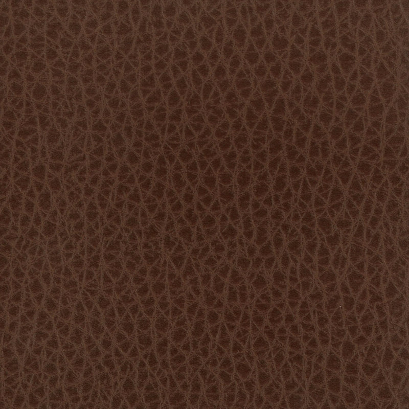 Sample LEED-1 Chocolate by Stout Fabric