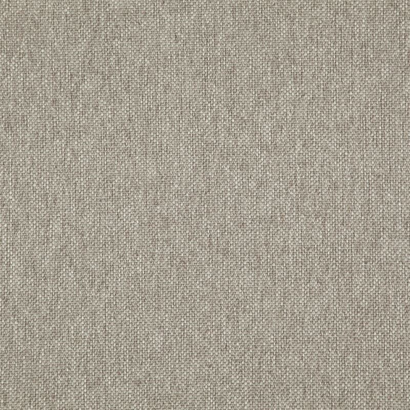 LO8208 | Light Year Bamboo by Maxwell Fabric