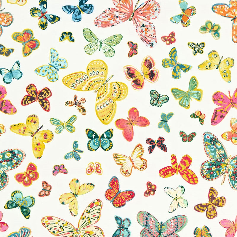 Purchase sample of 174900 Butterfly, Multi by Schumacher Fabric