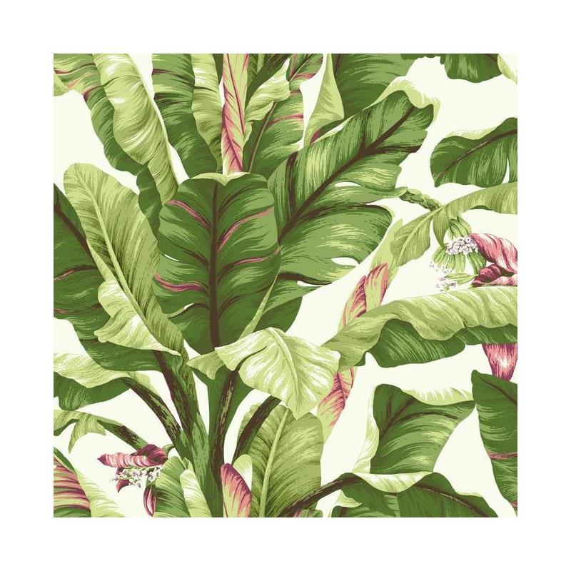 Sample AT7067 Ashford Tropics, Banana Leaf  color white leaf by Ashford House Wallpaper