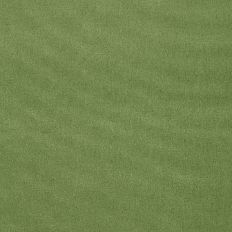 Purchase sample of 42878 Gainsborough Velvet, Leaf by Schumacher Fabric