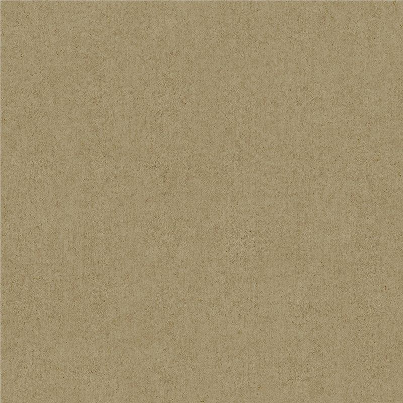 Order 4041-35617 Passport Colter Light Brown Texture Wallpaper Light Brown by Advantage