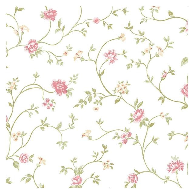 Buy PP27729 Pretty Prints 4  by Norwall Wallpaper