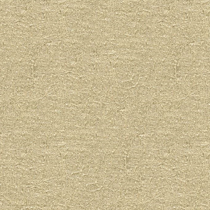 Acquire 4142.1116.0  Solid W/ Pattern Ivory by Kravet Contract Fabric