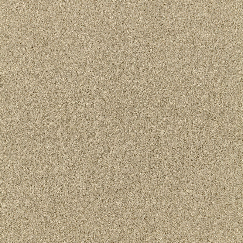 Purchase sample of 64871 San Carlo Mohair Velvet, Pebble by Schumacher Fabric