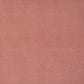 Sample SIE418 Snug Grapefruit by Maxwell