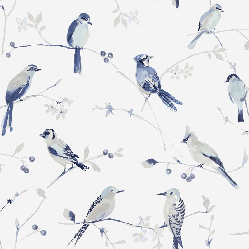 Sample 3124-13852 Thoreau, Birdsong Blue Trail Wallpaper by Chesapeake
