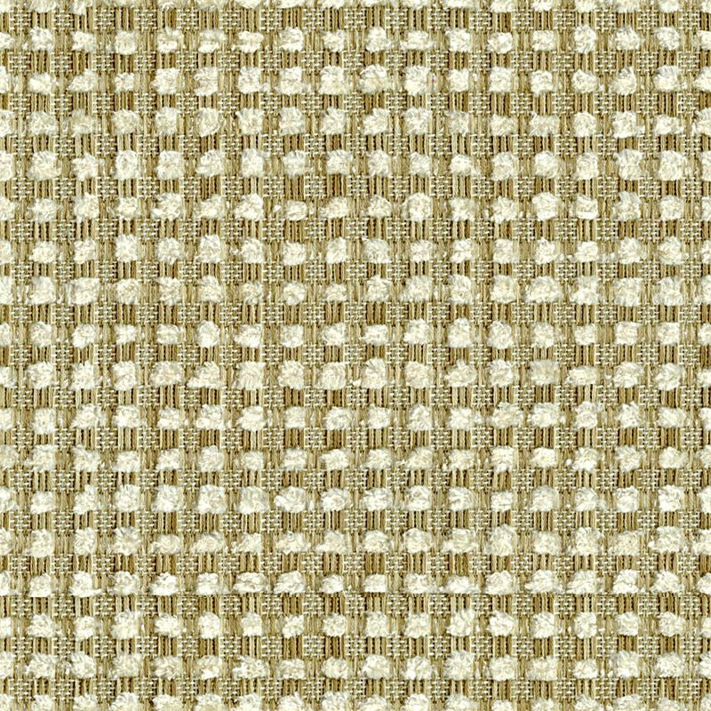 Looking 32012.416.0 Bubble Tea Champagne Small Scales Gold by Kravet Design Fabric