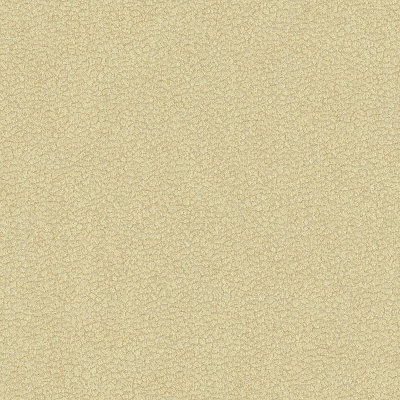 Select 34177.16.0 Jatoba Oyster Skins Beige by Kravet Design Fabric