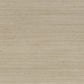 Sample ACHI-20 Achilles Mushroom by Stout