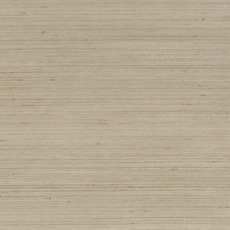 Sample ACHI-20 Achilles Mushroom by Stout