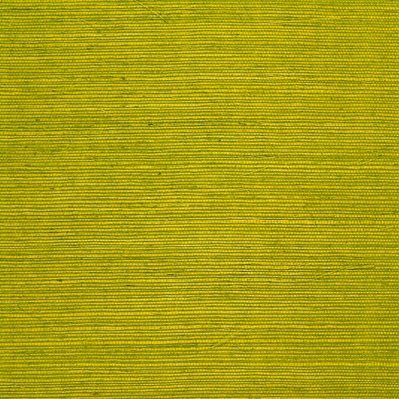 Acquire P8015145.3 Niyodo Chartreuse by Brunschwig Fils